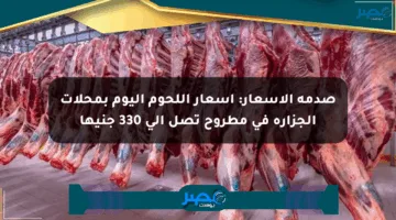 صدمة الأسعار: أسعار اللحوم اليوم بمحلات الجزارة في مطروح تصل إلى 330 جنيها